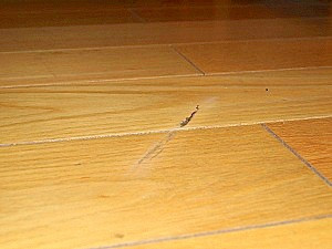 Kleine Kratzer im Parkett lassen sich schnell und unkompliziert ausbessern