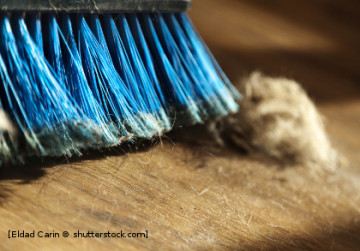 © Eldad Carin / shutterstock.com